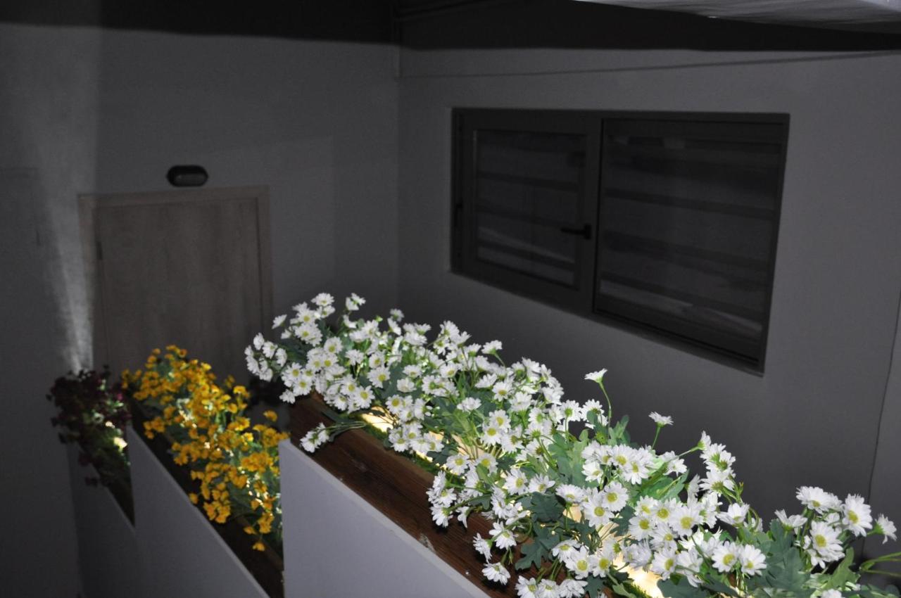 Mirma Halepa Superior Studio ハニア エクステリア 写真